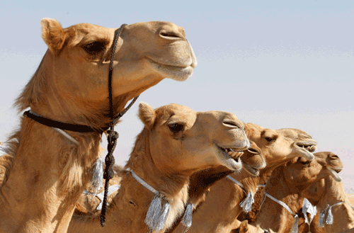Introduction to Apache Camel